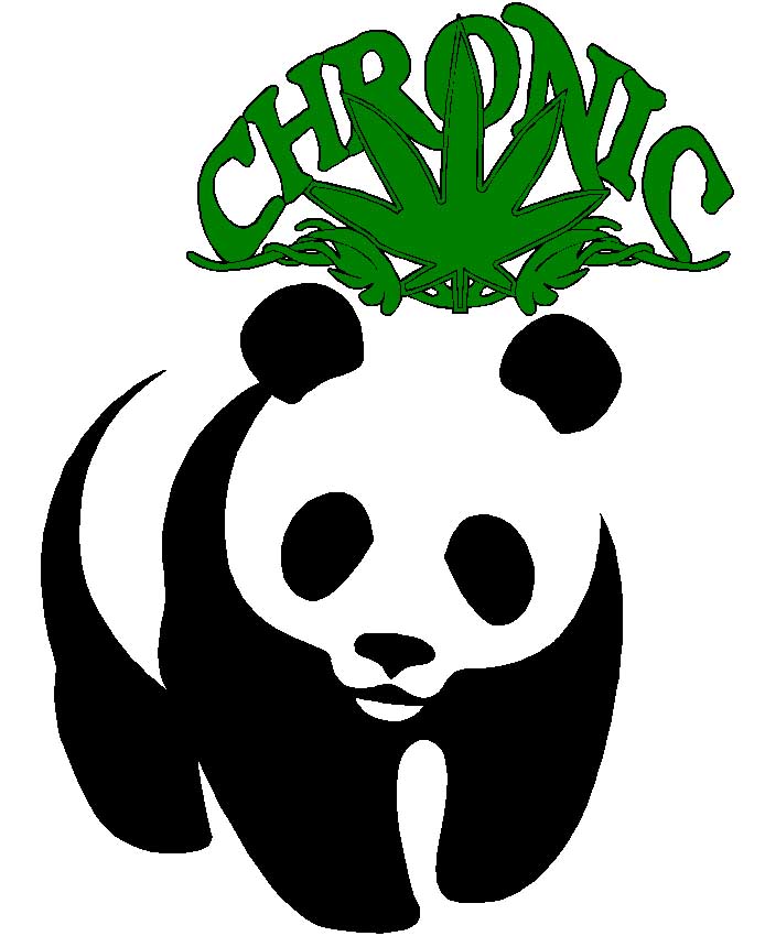 (image for) Rasta Pandas Decal